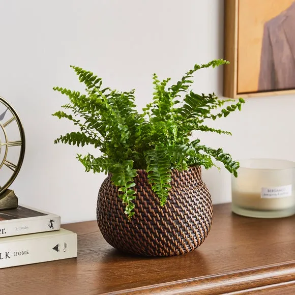 Round Plant Pot - Brown, Woven Rattan image