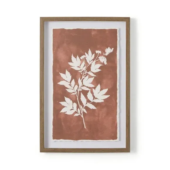 Set of 2 Framed Prints - Multicolor, Brown Frame