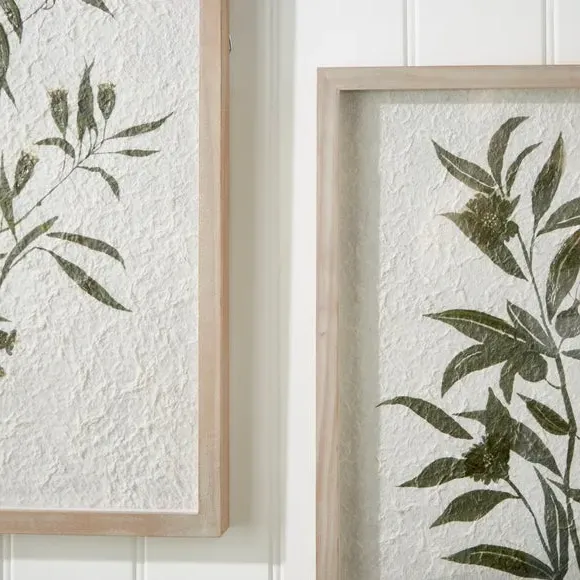 Set of 2 Framed Prints - White, Botanical