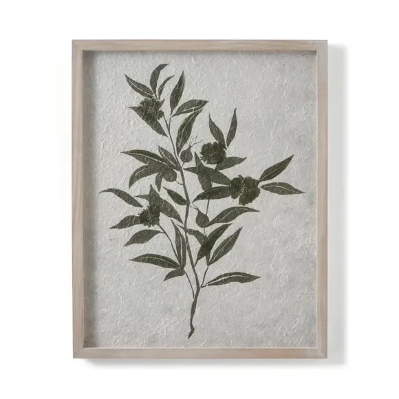Set of 2 Framed Prints - White, Botanical