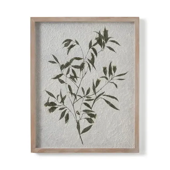 Set of 2 Framed Prints - White, Botanical