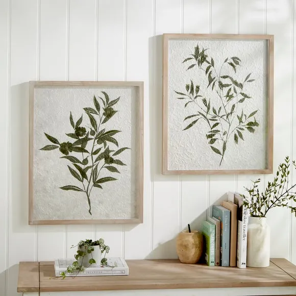 Set of 2 Framed Prints - White, Botanical image
