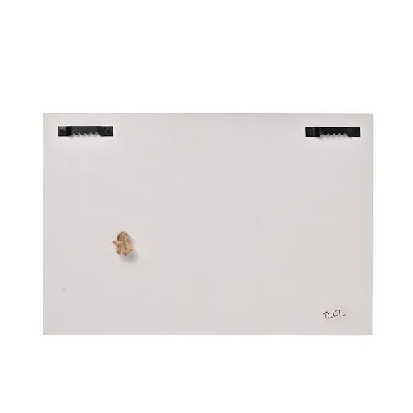 Floral Wall Plaque with Jar - White