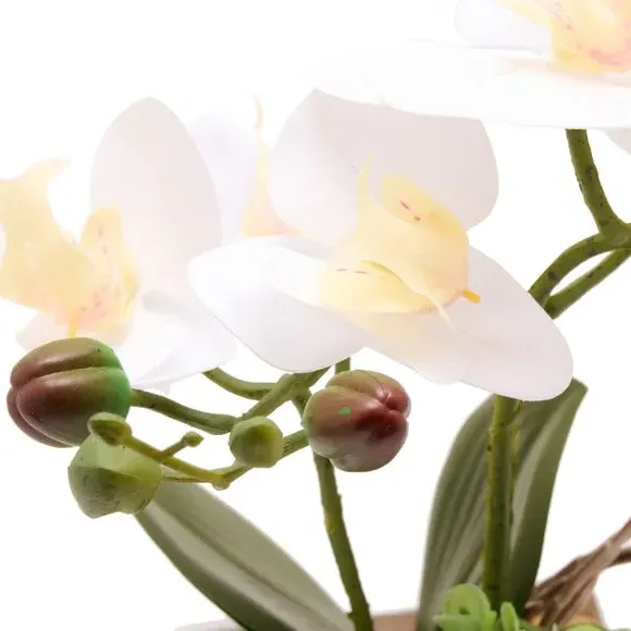 Artificial Orchid in Square Pot - White, Ceramic