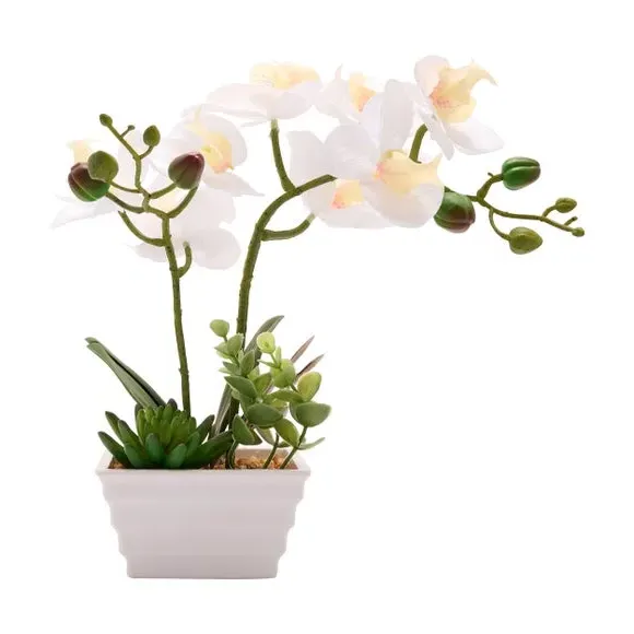Artificial Orchid in Square Pot - White, Ceramic image