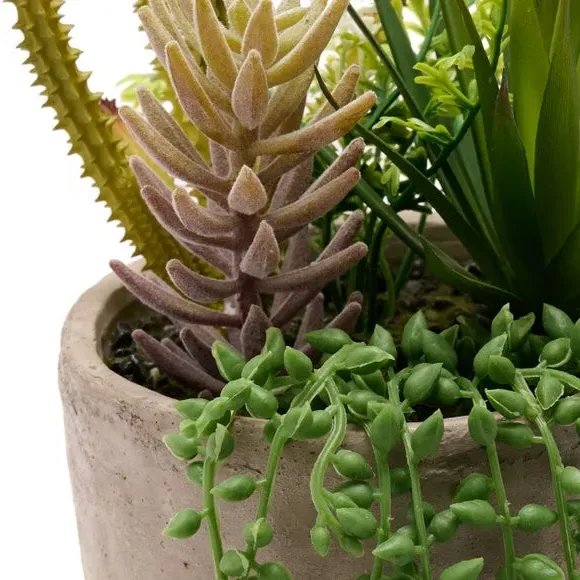 Artificial Trailing Succulents - Green, Stoneware
