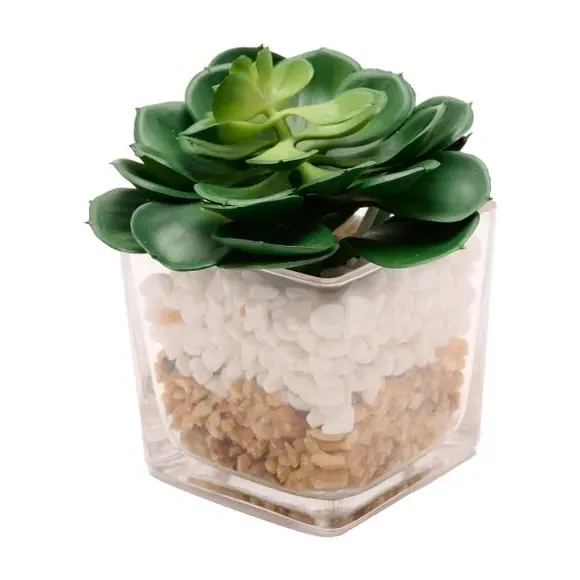 Square Artificial Succulent - Green, Glass Pot