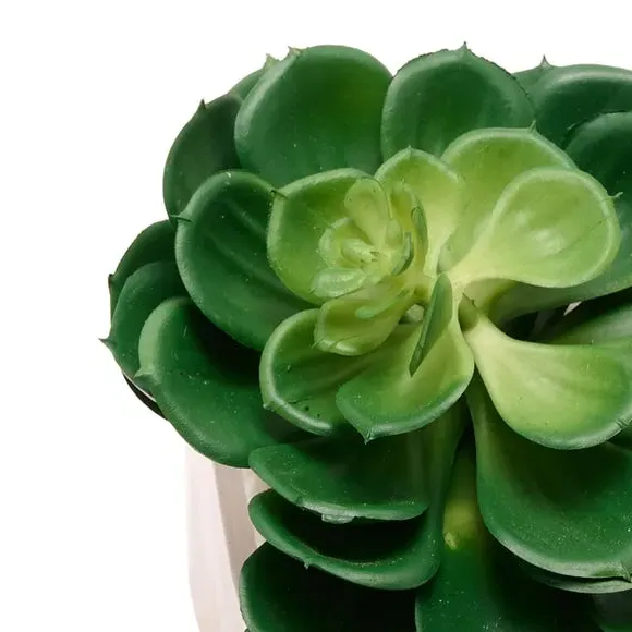 Square Artificial Succulent - Green, Glass Pot