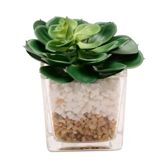 Square Artificial Succulent - Green, Glass Pot
