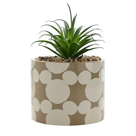 Artificial Plant in Character Pot - Natural, Ceramic