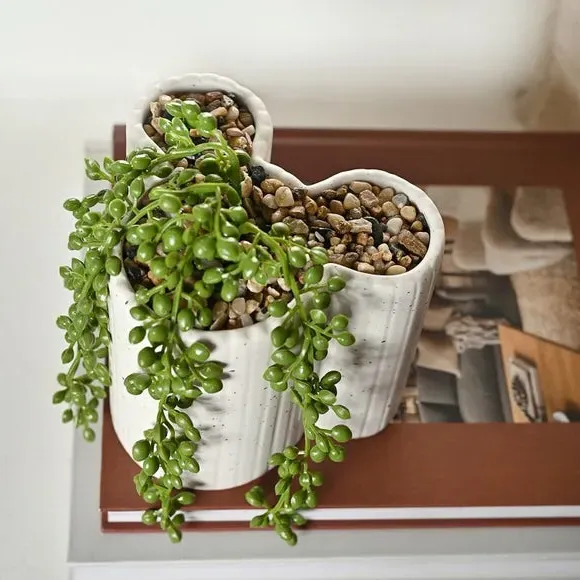 Mickey Mouse Planter with Trailing Plant - White
