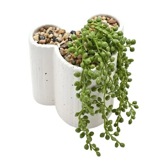 Mickey Mouse Planter with Trailing Plant - White