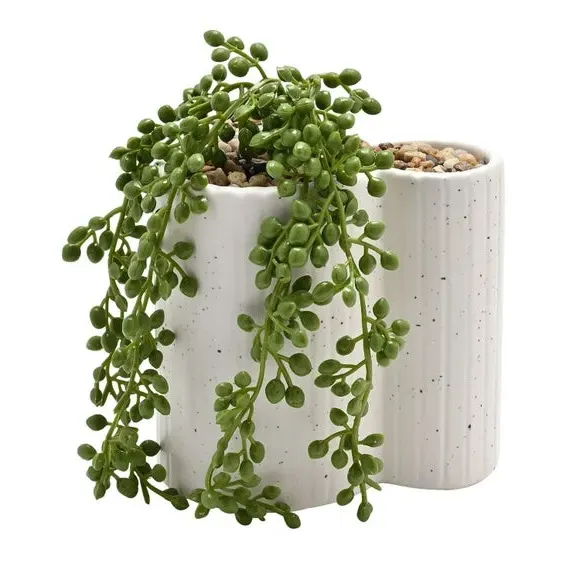 Mickey Mouse Planter with Trailing Plant - White