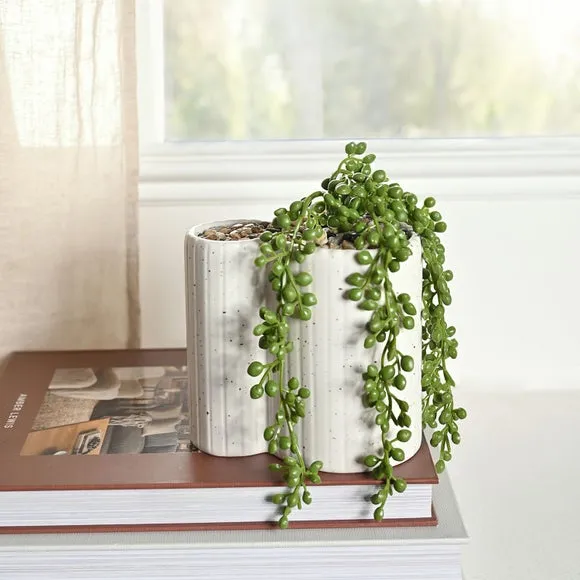 Mickey Mouse Planter with Trailing Plant - White