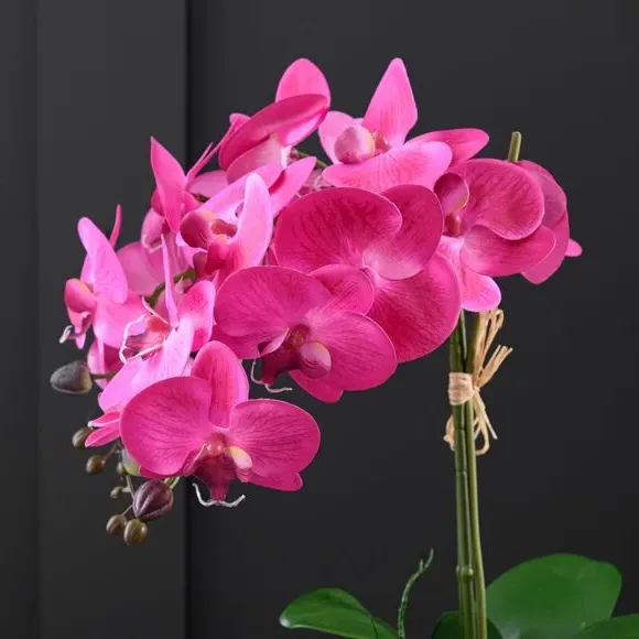 Artificial Orchid in Glass Pot - Pink