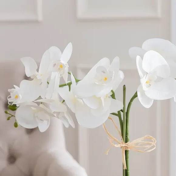 Artificial Orchid Plant - Cream, Glass Pot