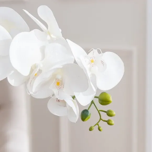 Artificial Orchid Plant - Cream, Glass Pot