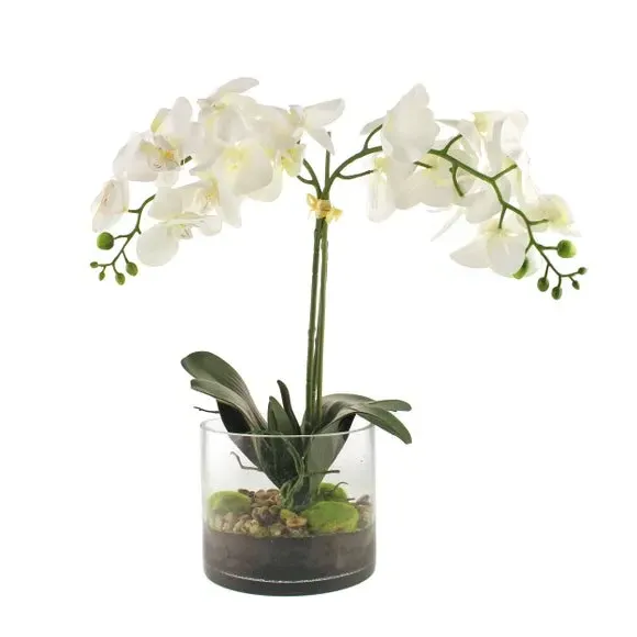 Artificial Orchid Plant - Cream, Glass Pot