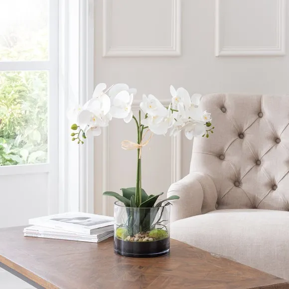 Artificial Orchid Plant - Cream, Glass Pot image