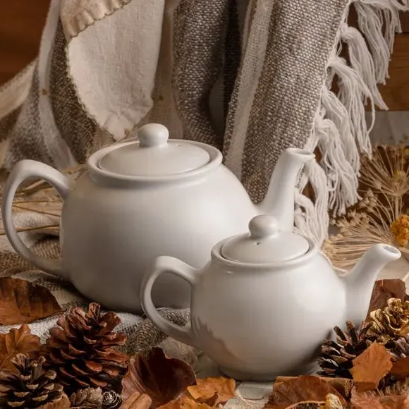 2 Cup Teapot with Non-Drip Spout - White, Stoneware