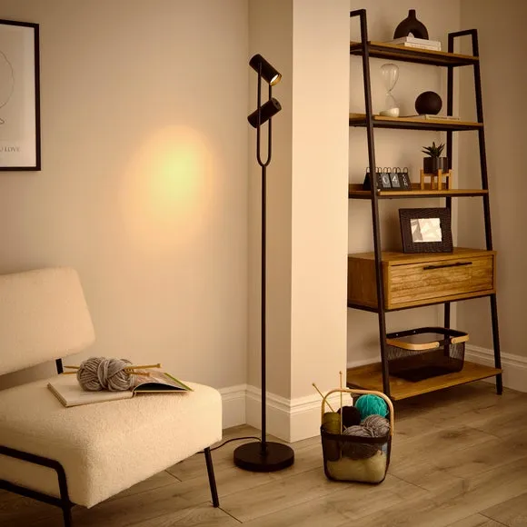 2-Light Floor Lamp Adjustable - Black, Iron