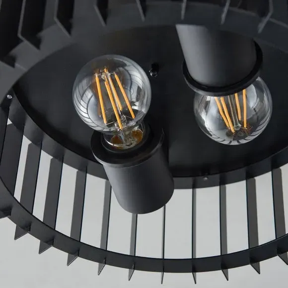 2 Light Flush Ceiling Light - Black, Steel