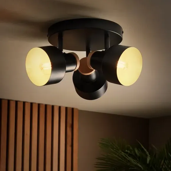 3-Light Adjustable Spotlight - Black, Metal