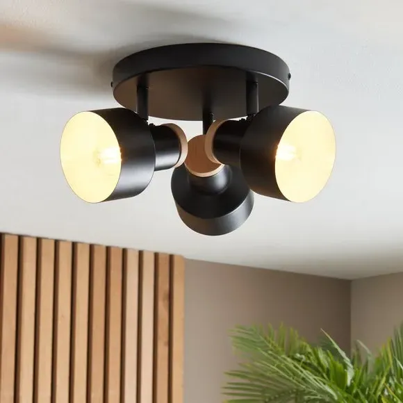 3-Light Adjustable Spotlight - Black, Metal image