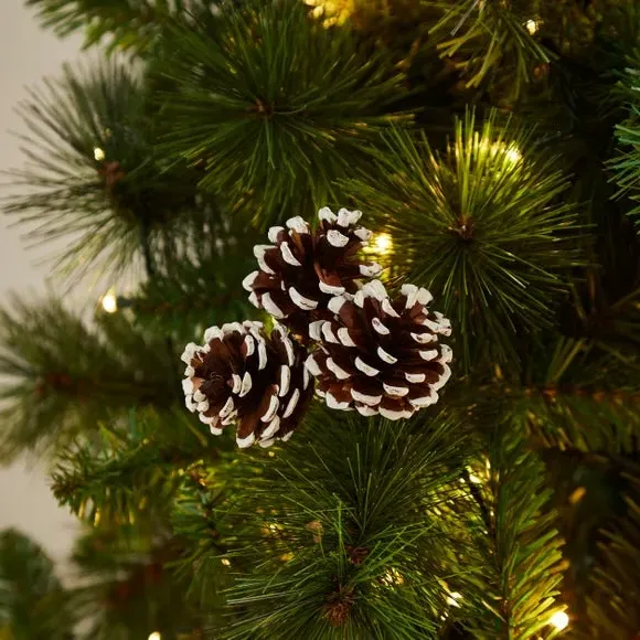 3-Pack Pinecones with Frosted Tips - Natural image