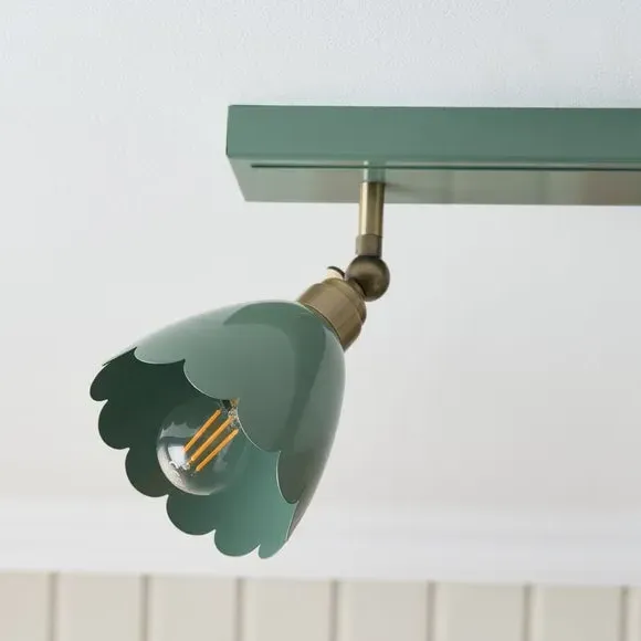 4-Light Spotlight Bar Adjustable - Lilypad, Metal