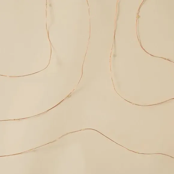50 LED String Lights Battery Operated - Copper