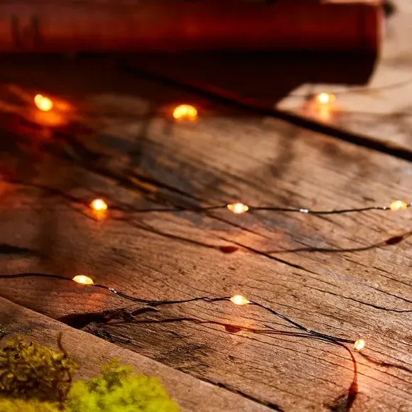 50 LED String Lights Battery Operated - Orange