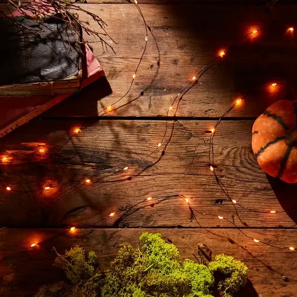 50 LED String Lights Battery Operated - Orange image