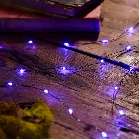 50 LED String Lights Battery Operated - Purple
