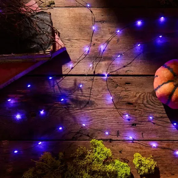 50 LED String Lights Battery Operated - Purple