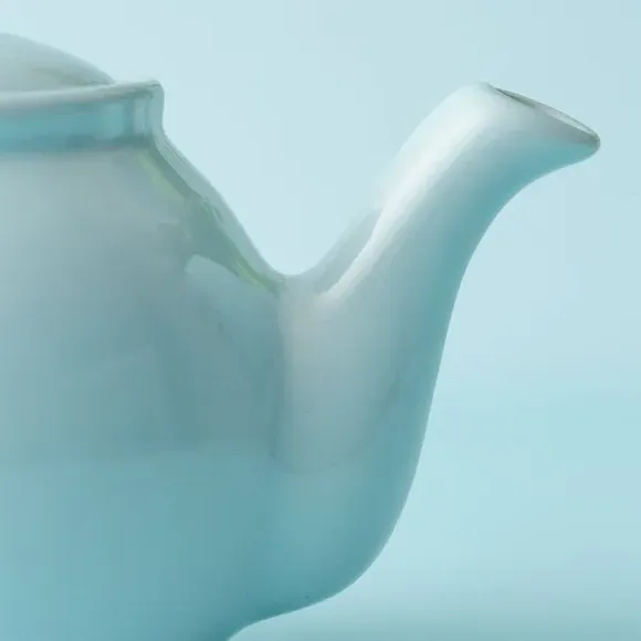 6-Cup Teapot with Non-Drip Spout - Blue, Stoneware
