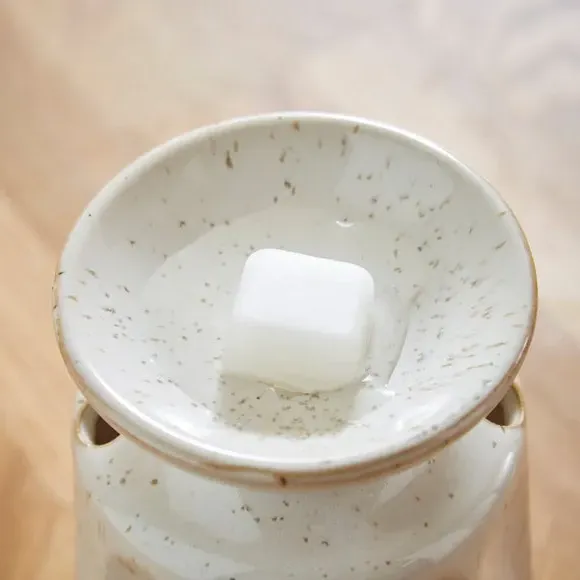 6-Pack Wax Melts - Vanilla Sandalwood, Brown