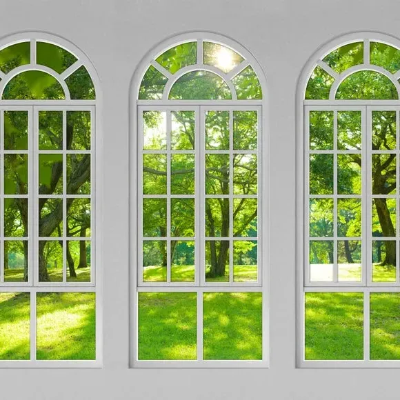 Arch Windows Wall Mural - White