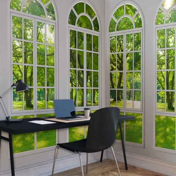 Arch Windows Wall Mural - White