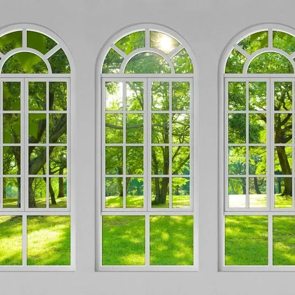 Arch Windows Wall Mural - White