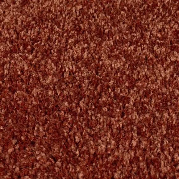 Area Rug - Ginger, Polypropylene
