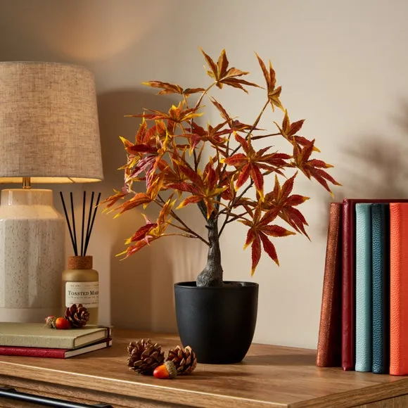 Artificial Acer Tree with Pot - Orange image