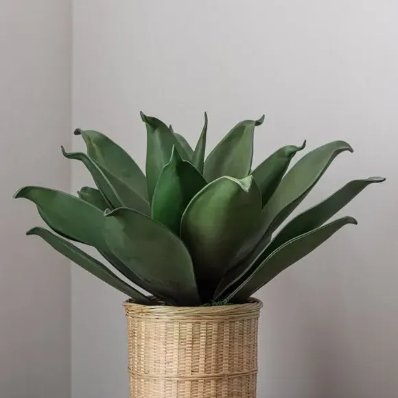 Artificial Agave Plant - Natural, Bamboo Pot