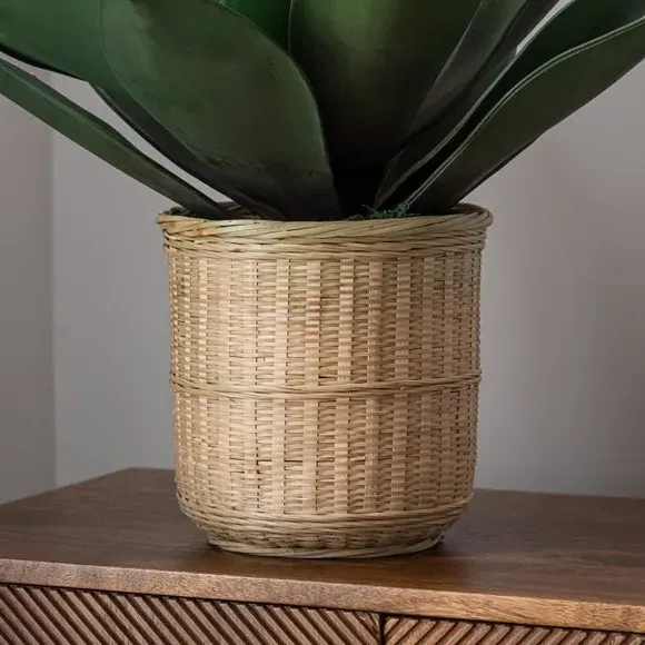 Artificial Agave Plant - Natural, Bamboo Pot