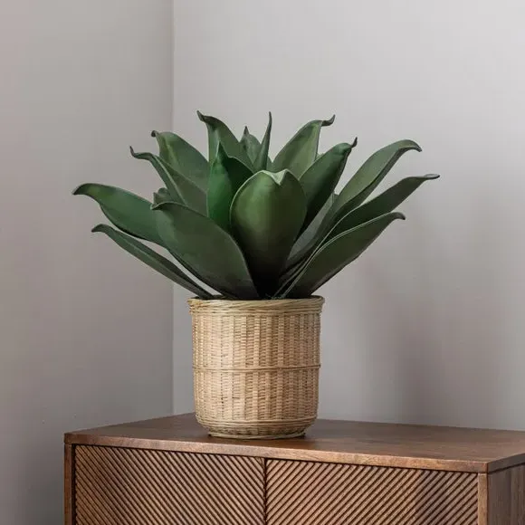 Artificial Agave Plant - Natural, Bamboo Pot