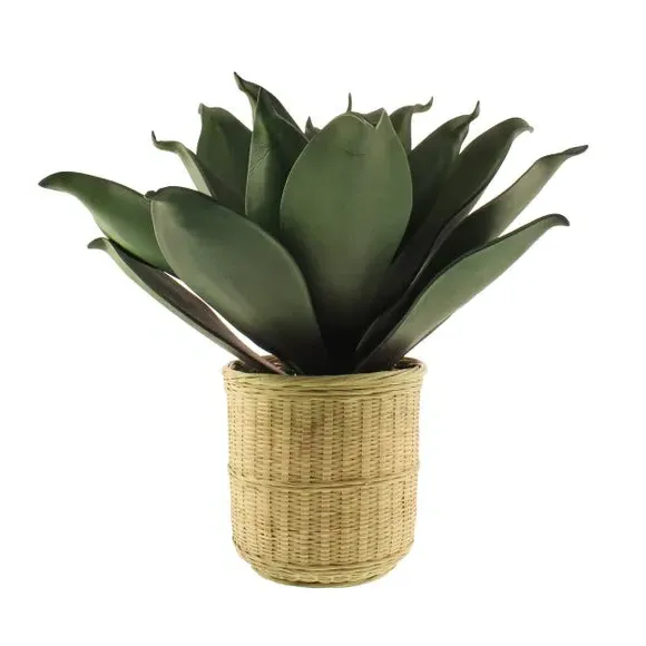 Artificial Agave Plant - Natural, Bamboo Pot