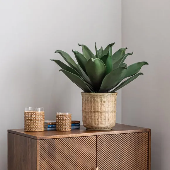 Artificial Agave Plant - Natural, Bamboo Pot