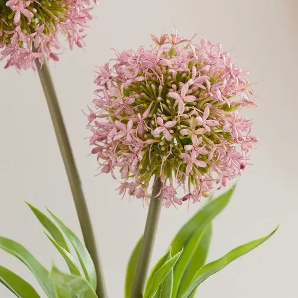 Artificial Allium Plant - Purple, Cement Pot