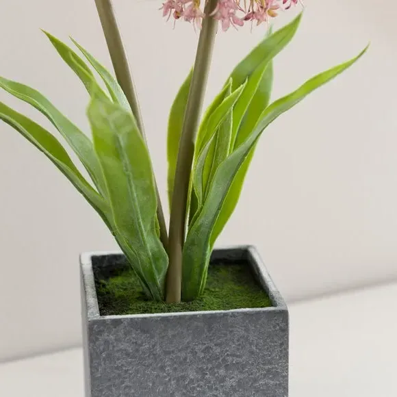 Artificial Allium Plant - Purple, Cement Pot
