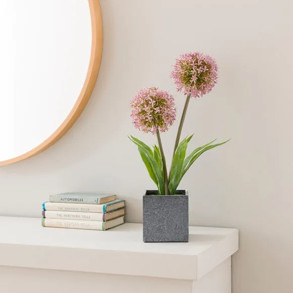 Artificial Allium Plant - Purple, Cement Pot image